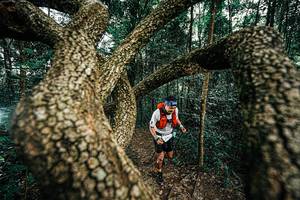 BIB: 
                            <button type="button" onclick="openModal(25393284)" class="btn btn-primary btn-sm float-right btn-popup" data-toggle="modal" data-target=".modal-high-quality">
                        <i class="fas fa-shopping-cart"></i> Add to Cart
                    </button>
                                            <button type="button" onclick="isThisMe(25393284, true)" class="btn btn-success btn-sm float-right btn-popup btn-isme hidden" data-toggle="tooltip" data-placement="bottom" title="นี่คือรูปของคุณใช่ไหม คลิกที่นี่เพื่อเอาเข้าอัลบั้ม">
                        <i class="fas fa-plus"></i> Add to album
                    </button>
                    <button type="button" onclick="isThisMe(25393284, false)" class="btn btn-warning btn-sm float-right btn-popup btn-isnotme hidden">
                        <i class="fas fa-ban"></i> Remove from album
                    </button>